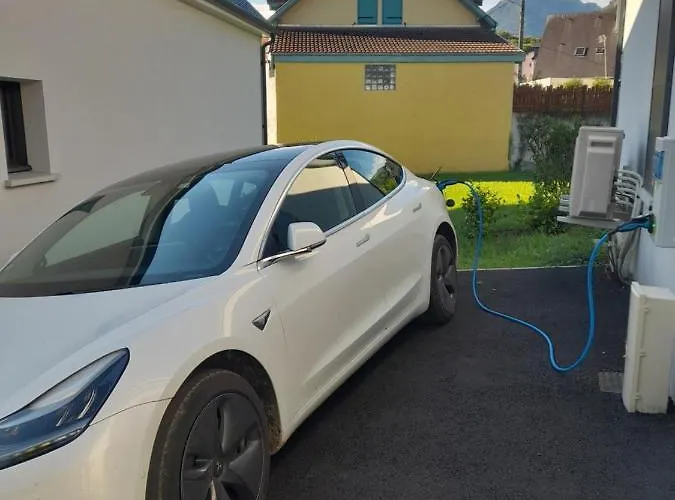 Les Lys Fleurs Des Pyrenees Nyaraló Argelès-Gazost